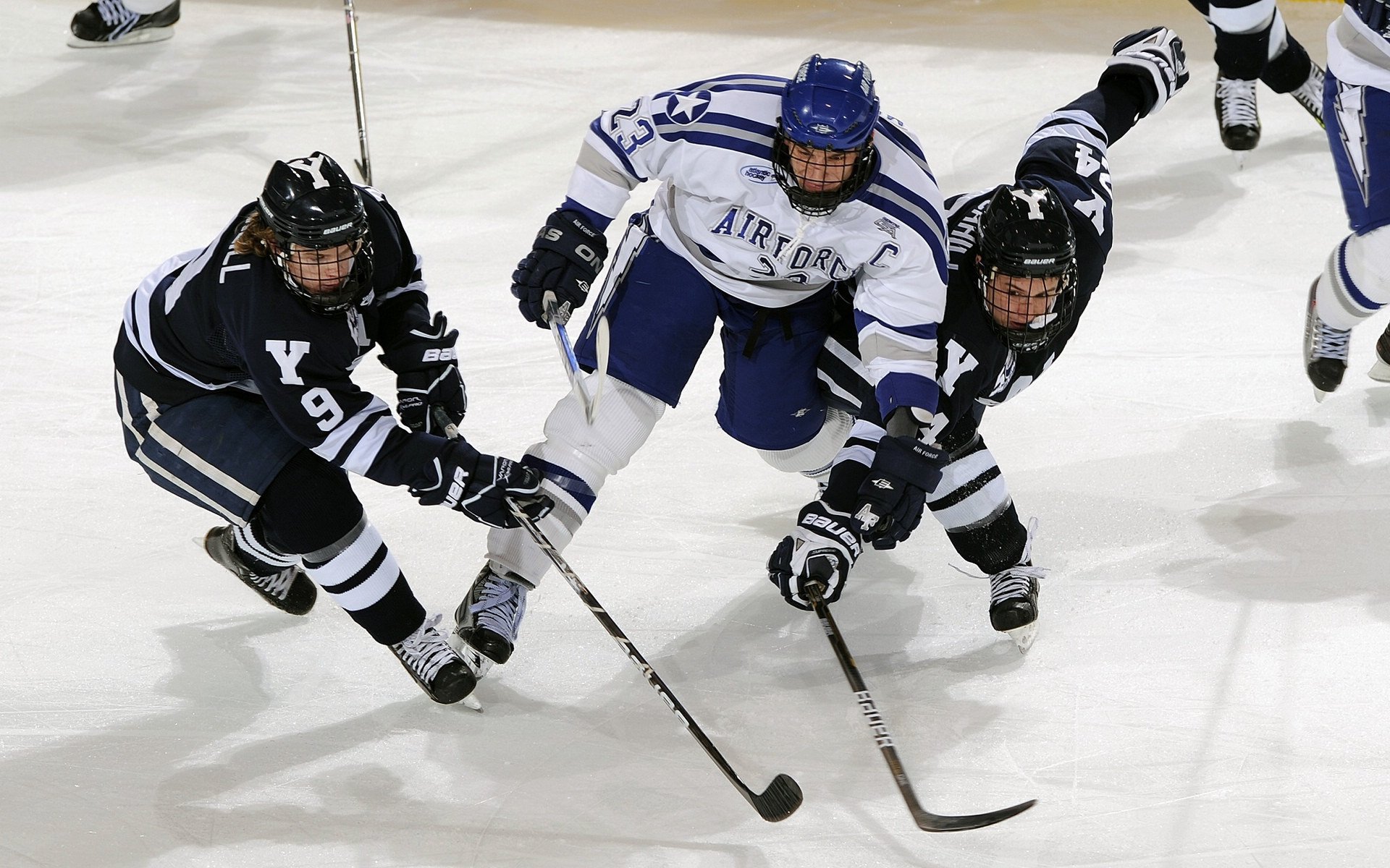 残疾人体育赛事组织管理体系建设,残疾人体育赛事组织管理体系建设方案