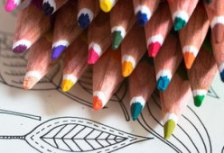 米兰体育在线-中小学体育教师创新教学策略分析，创新教学在小学体育教学中的重要性